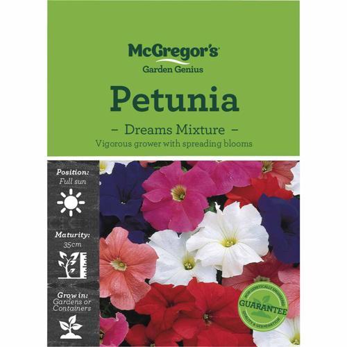 McGregor's Petunia Mix Flower Seeds