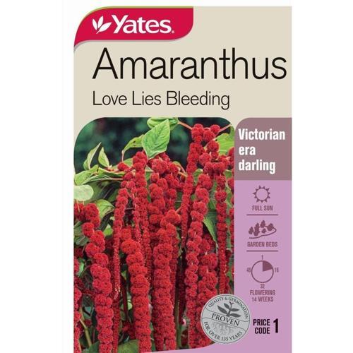 Amaranthus 'Love Lies Bleeding' Seeds - Yates