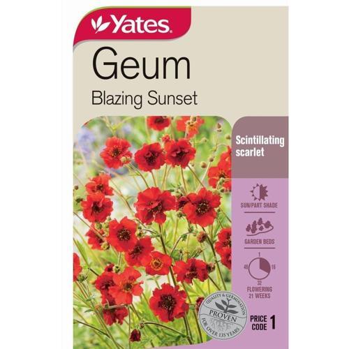 Geum 'Blazing Sunset' Seeds - Yates