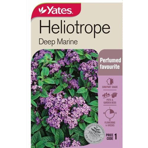 Heliotrope 'Deep Marine' Seeds - Yates