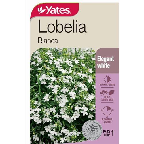 Lobelia 'Blanca' Seeds - Yates