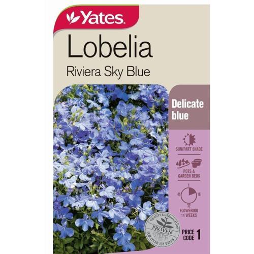Lobelia 'Rivera Sky Blue' Seeds - Yates