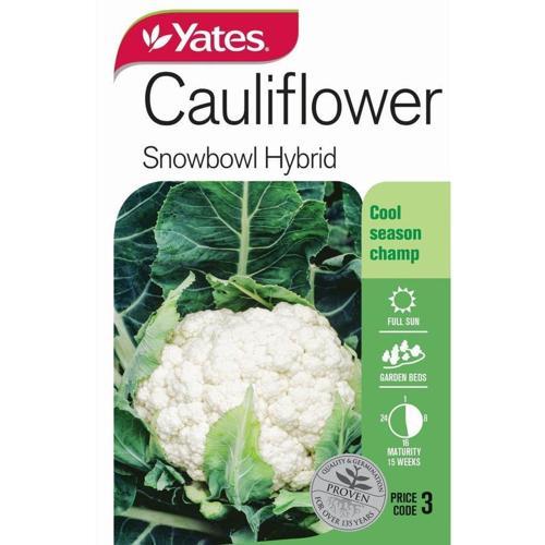 Cauliflower 'Snowbowl' Hybrid Seeds - Yates