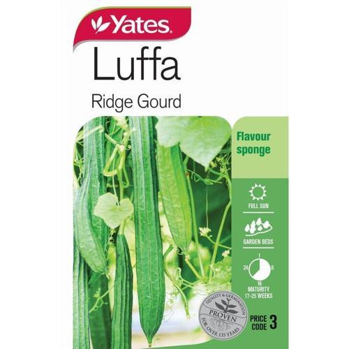 Luffa 'Ridge Gourd' Seeds - Yates