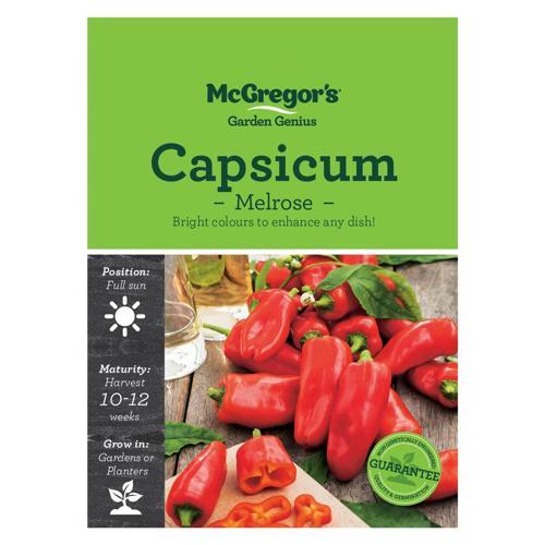 McGregor's Capsicum Melrose Seeds