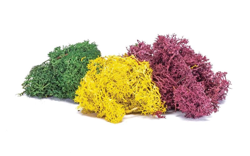 Vibrant autumn lichen mix in rich hues of orange, red, and yellow for realistic model train landscapes and dioramas.