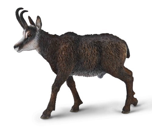 Figurine - CollectA Chamois (S)
