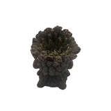 Aquatic Ornament - Howling Tree Man (15 x 9 x 14cm)
