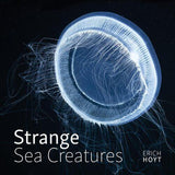 Strange Sea Creatures - by Erich Hoyt - Paperback