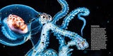 Strange Sea Creatures - by Erich Hoyt - Paperback