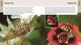 500 Insects - Nature Book - by Stephen A. Marshall - Paperback