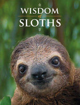 Wisdom of Sloths - by Lisa Purcell - Hardcover