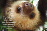 Wisdom of Sloths - by Lisa Purcell - Hardcover