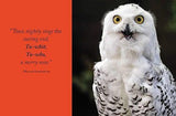 Wisdom of Owls - by Lisa Purcell - Hardcover