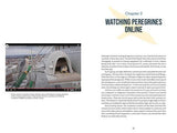 The Peregrine Falcon - by Jim Wright - Hardcover