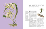 The Orchid - by Lauren Gardiner - Hardcover