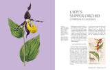 The Orchid - by Lauren Gardiner - Hardcover