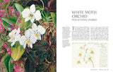 The Orchid - by Lauren Gardiner - Hardcover