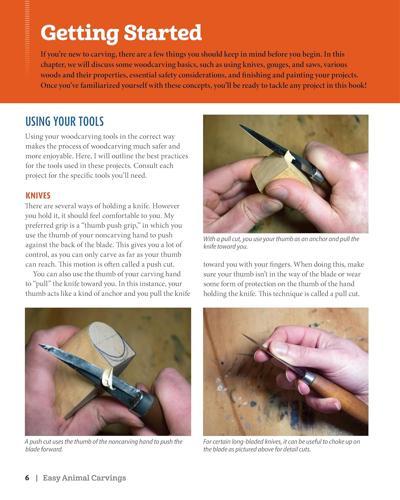Easy Animal Carvings - Nature Book - by Wouter de Bruijn - Paperback