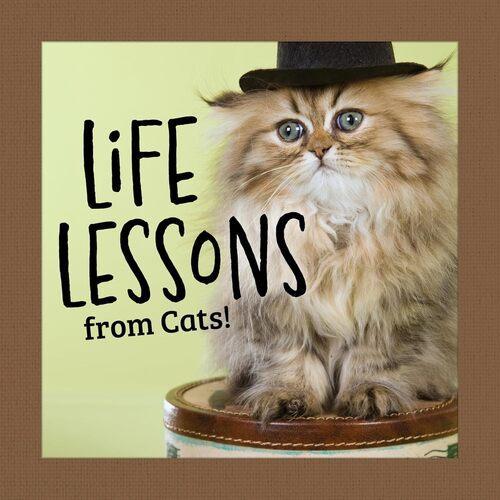 Life Lessons From Cats - by Grace Peterson - Hardcover