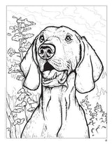 AKC Ultimate Dog Coloring Book - by The American Kennel Club - Paperback