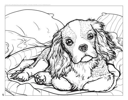 AKC Ultimate Dog Coloring Book - by The American Kennel Club - Paperback