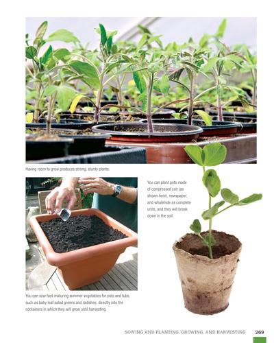 Ultimate Guide to Planting and Growing Vegetables at Home - Paperback