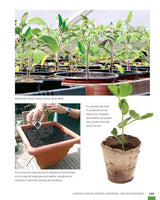 Ultimate Guide to Planting and Growing Vegetables at Home - Paperback
