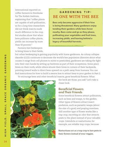 High Yield Small Space Organic Gardening - Gardening Book - by Christy Wilhelmi