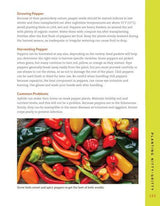 High Yield Small Space Organic Gardening - Gardening Book - by Christy Wilhelmi