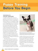 Train Your Puppy in 8 Weeks - by Charlotte Schwartz - Paperback