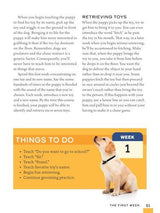 Train Your Puppy in 8 Weeks - by Charlotte Schwartz - Paperback