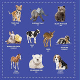 My Sticker Paintings Baby Animals - Nature Book - by Logan Powell - Paperback