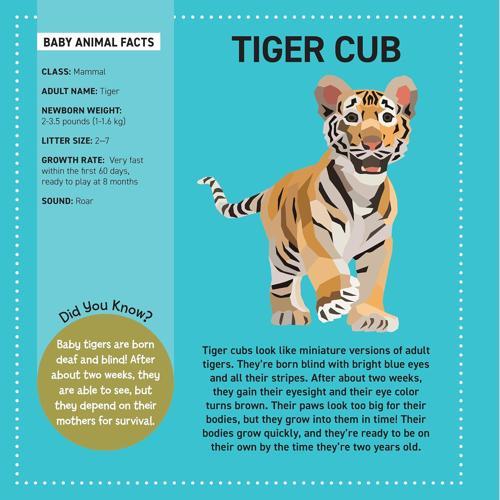 My Sticker Paintings Baby Animals - Nature Book - by Logan Powell - Paperback