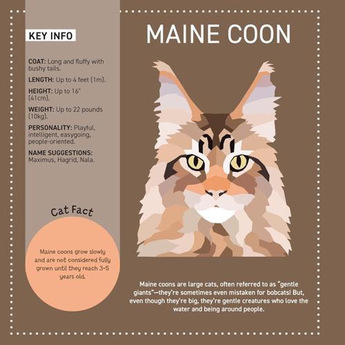 My Sticker Paintings Cats - Children's Book - by Logan Powell - Paperback