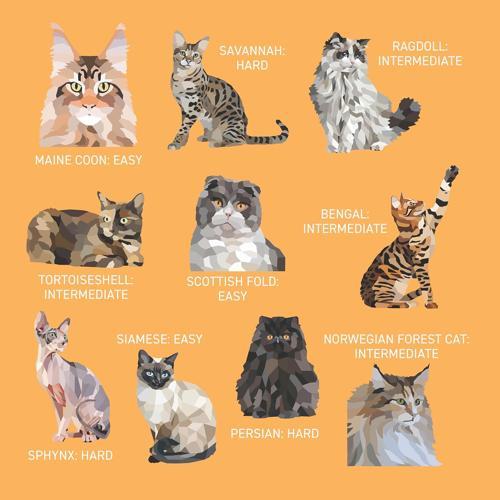 My Sticker Paintings Cats - Children's Book - by Logan Powell - Paperback