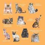 My Sticker Paintings Cats - Children's Book - by Logan Powell - Paperback