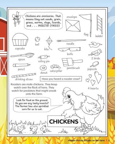 Hidden Picture Puzzles on the Farm - Children's Book - by Liz Ball - Paperback