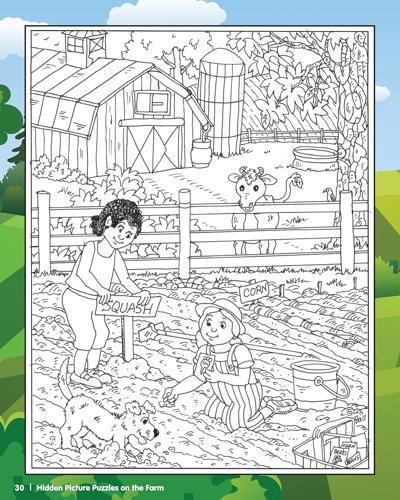 Hidden Picture Puzzles on the Farm - Children's Book - by Liz Ball - Paperback