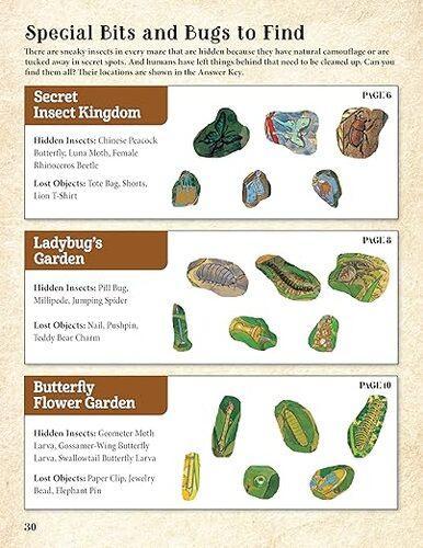 Gentaro Kagawas Curious Quest The Hidden World of Insects - Nature Book
