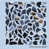 My Sticker Paintings Bears - Children's Book - by Logan Powell - Paperback