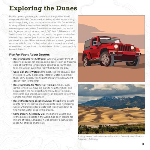 My Sticker Paintings Jeep - by D L Miller - Paperback