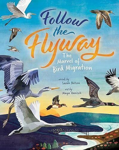 Follow the Flyway - by Sarah Nelson - Paperback