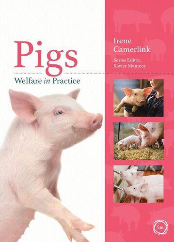 Pigs Welfare in Practice - by Irene Camerlink - Paperback