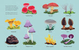 Can Mushrooms Save the World - Children's Book - by Eliza Jeffery - Hardcover