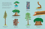 Can Trees Talk to Each Other - Children's Book - by Olivia Watson - Hardcover