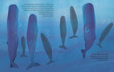Are Whales and Dolphins Smarter Than Humans - Children's Book - by Eliza Jeffery