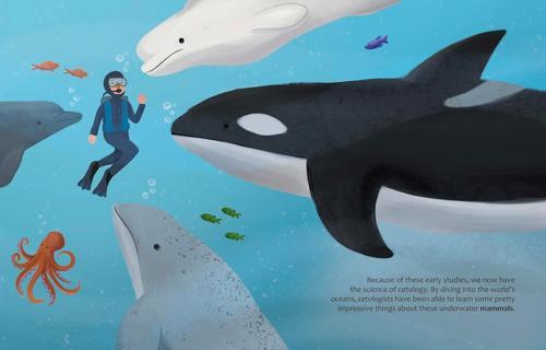 Are Whales and Dolphins Smarter Than Humans - Children's Book - by Eliza Jeffery