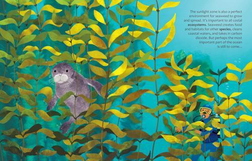How Do Oceans Help Us Breathe - Children's Book - by Olivia Watson - Hardcover