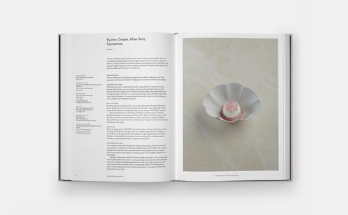 Odette - by Julien Royer - Hardcover